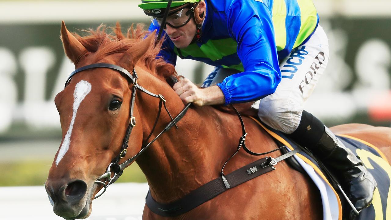 Big Blue will carry the flag for Australia at the Cheltenham Festival next year. Picture: Getty Images