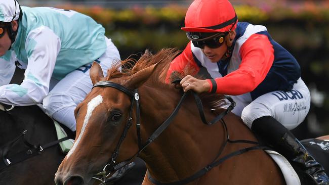 Matthew McGillivray rides Winning Ways to victory in race 3, the BenchMark 75 Handicap, during the Brisbane Racing Club races at Doomben in Brisbane, Saturday, April 13, 2019. (AAP Image/Albert Perez) NO ARCHIVING, EDITORIAL USE ONLY