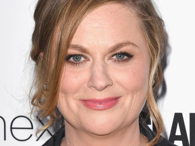 LONDON, ENGLAND - JUNE 06:  Amy Poehler attends the Glamour Women of The Year awards 2017 at Berkeley Square Gardens on June 6, 2017 in London, England.  (Photo by Stuart C. Wilson/Getty Images)