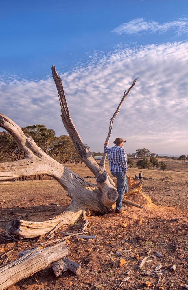 Drought is adding to the mental stress on Victorian farmers. Picture: Supplied.