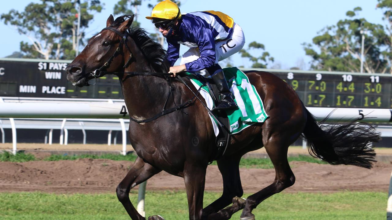 Vreneli contests the opening event at Randwick on Saturday. Photo: Grant Guy