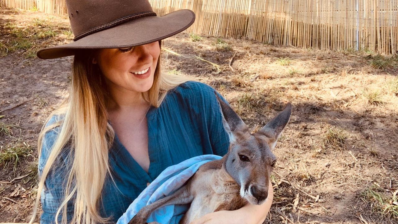 Albino kangaroo hugs a laughing American woman at a Perth wildlife park