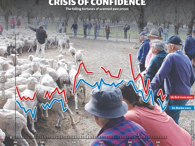 The rise and fall of scanned in lamb ewes on AuctionsPlus. Source: AuctionsPlus