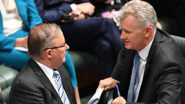 Anthony Albanese and Tony Burke in the House of Representatives at Parliament House.