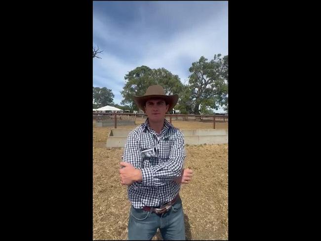 Yarram Park bull sale 2025