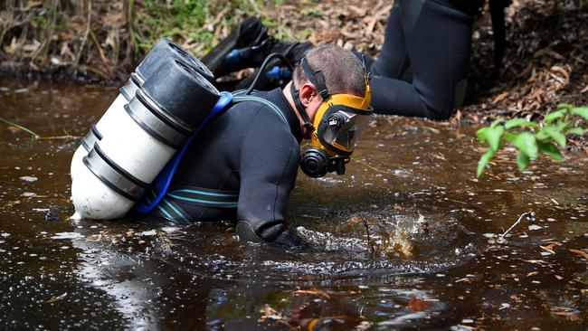 A police diver looks for traces of William Tyrrell in a dam. Picture: Dan Himbrechts