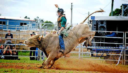 Hold on tight: Alstonville bull rider Jayden Sims competes in the Kyogle Bull Ride on Saturday night. Picture: Diane Essery