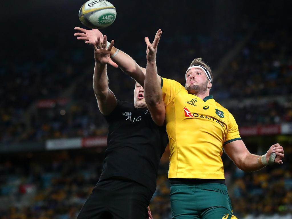 SYDNEY, AUSTRALIA - AUGUST 18: Izack Rodda of the Wallabies takes a lineout ball during The Rugby Championship Bledisloe Cup match between the Australian Wallabies and the New Zealand All Blacks at ANZ Stadium on August 18, 2018 in Sydney, Australia.  (Photo by Cameron Spencer/Getty Images)