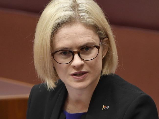 Senator Amanda Stoker speaking in the Senate Chamber. Image: David Foote