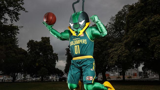 The Tasmania JackJumpers new mascot for next year's NBL season. Picture: Zak Simmonds