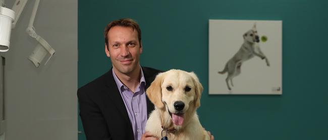 National Veterinary Care CEO Tomas Steenackers with Cleo,  a seven-month-old golden retriever. Picture by Scott Fletcher