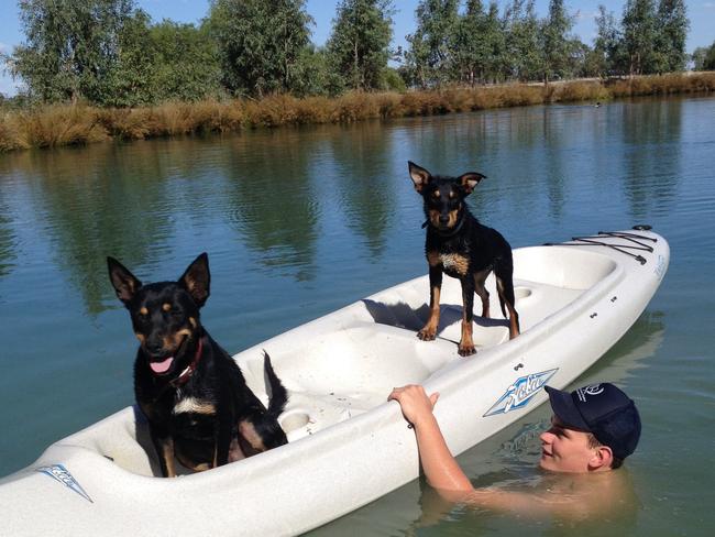 Dam fine: Kelpies Boof and Missy with Ian Cameron swimming in a dam at The Yanko, Jerilderie. Picture: Elizabeth Cameron