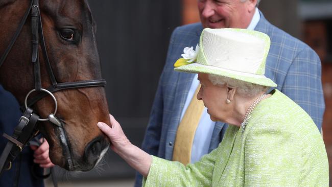 Queen Elizabeth II with trainer Paul Nicholls feeding carrots to racehorse McFabulous at the Manor Farm Stables in Ditcheat, Somerset. Picture: Getty Images