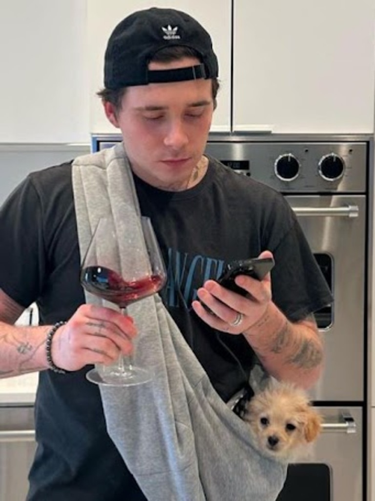 Brooklyn with some wine and his dog. Source: Instagram