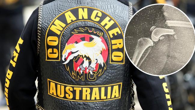 Former Comanchero bikie Daniel Christopher Grech pleaded guilty to several offences including throwing a dog down a set of stairs.