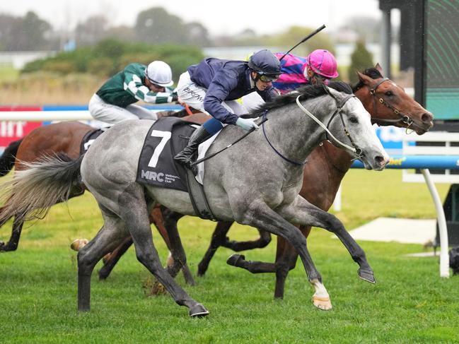 Public Attention (NZ) ridden by Ethan Brown wins the MRC Chairman's Club Handicap at Caulfield Racecourse on July 27, 2024 in Caulfield, Australia. (Photo by Scott Barbour/Racing Photos via Getty Images)