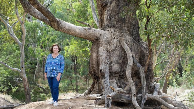 Branching out: Jenny Houlihan by the big tree in the children's garden in Shepparton. Picture: Zoe Phillips