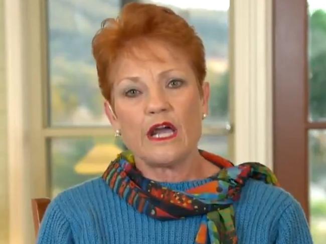 Pauline Hanson took aim at public housing tenants who have been placed under a hard lockdown in Melbourne. Picture: Nine/Today