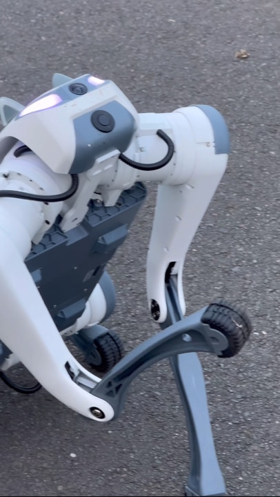 Chery's 'Dorry' robot dog