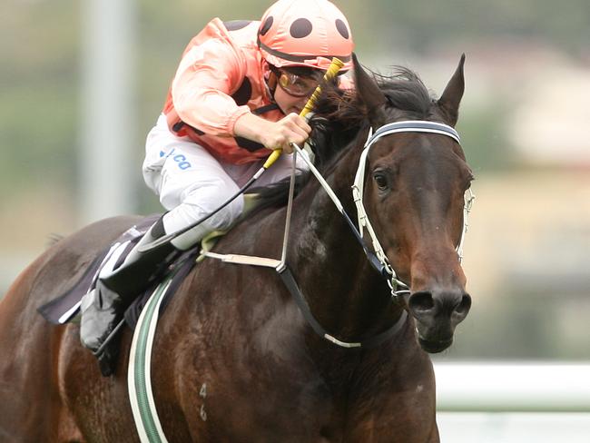 16-year-old Jarrod Noske rides Black Caviar to an easy win in race 2 the Cromwell Handicap at Flemington races.