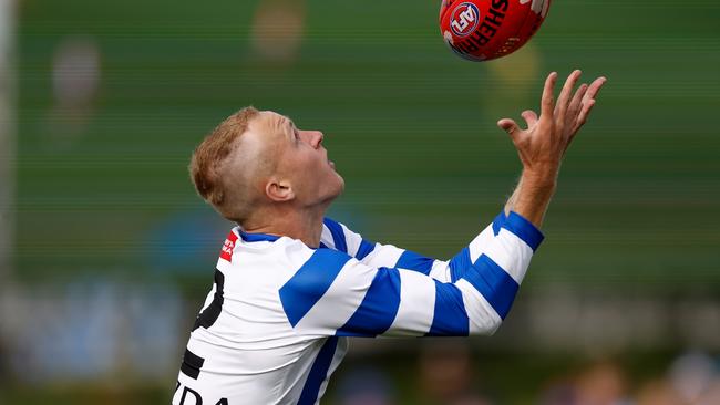 The Pies have not missed Jaidyn Stepheson. Picture: Michael Willson/AFL Photos