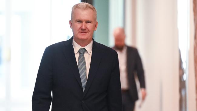 Albanese’s trusted lieutenant Tony Burke takes a giant portfolio including home affairs and immigration. Picture: NewsWire / Martin Ollman