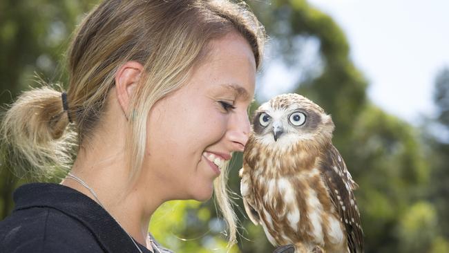 Kayleen Crawford with Cricket the boobook owl. Picture: MELVYN KNIPE