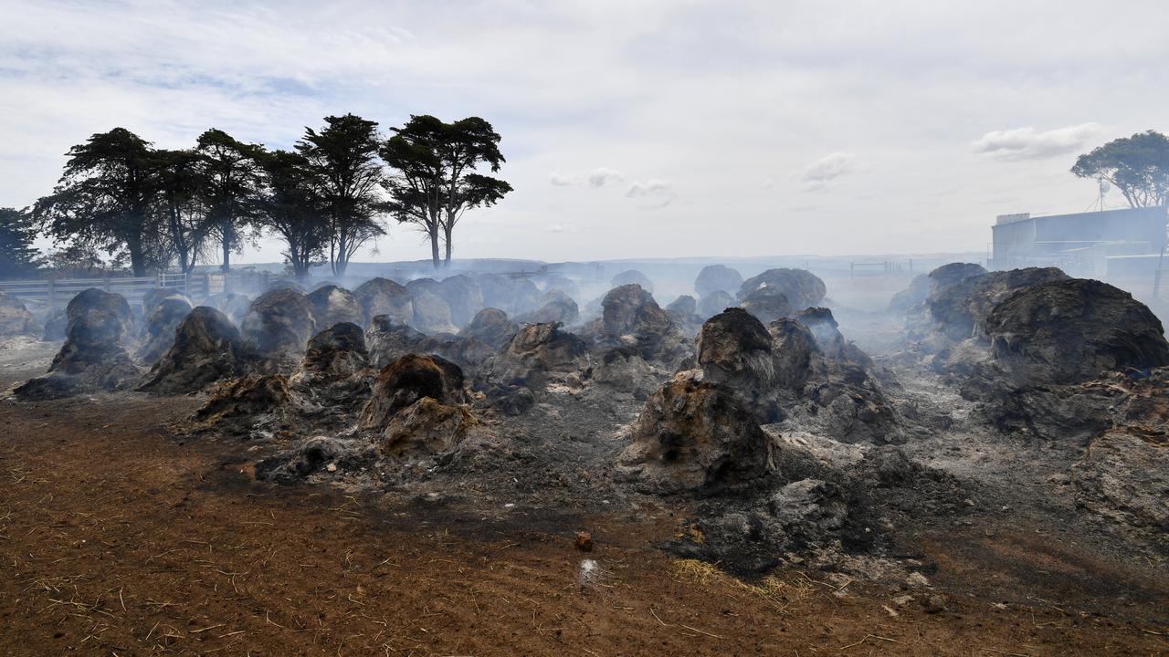 It is all too easy to imagine just how dangerous the assassin spider’s leaf litter habitat became as fire tore across Kangaroo Island, as shown in this image of hay bales n Friday, January 10, 2020. Nearly half of Kangaroo Island was damaged by the fires. Picture: AAP Image