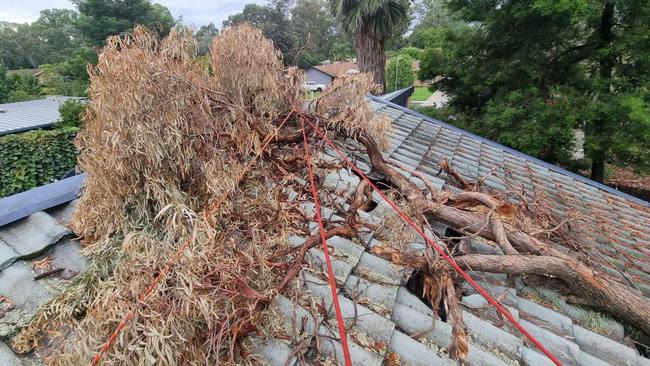 By 11am on Sunday, SES had received more than 80 calls for fallen trees in the past 24 hours. Picture: Facebook, SES Wodonga Unit