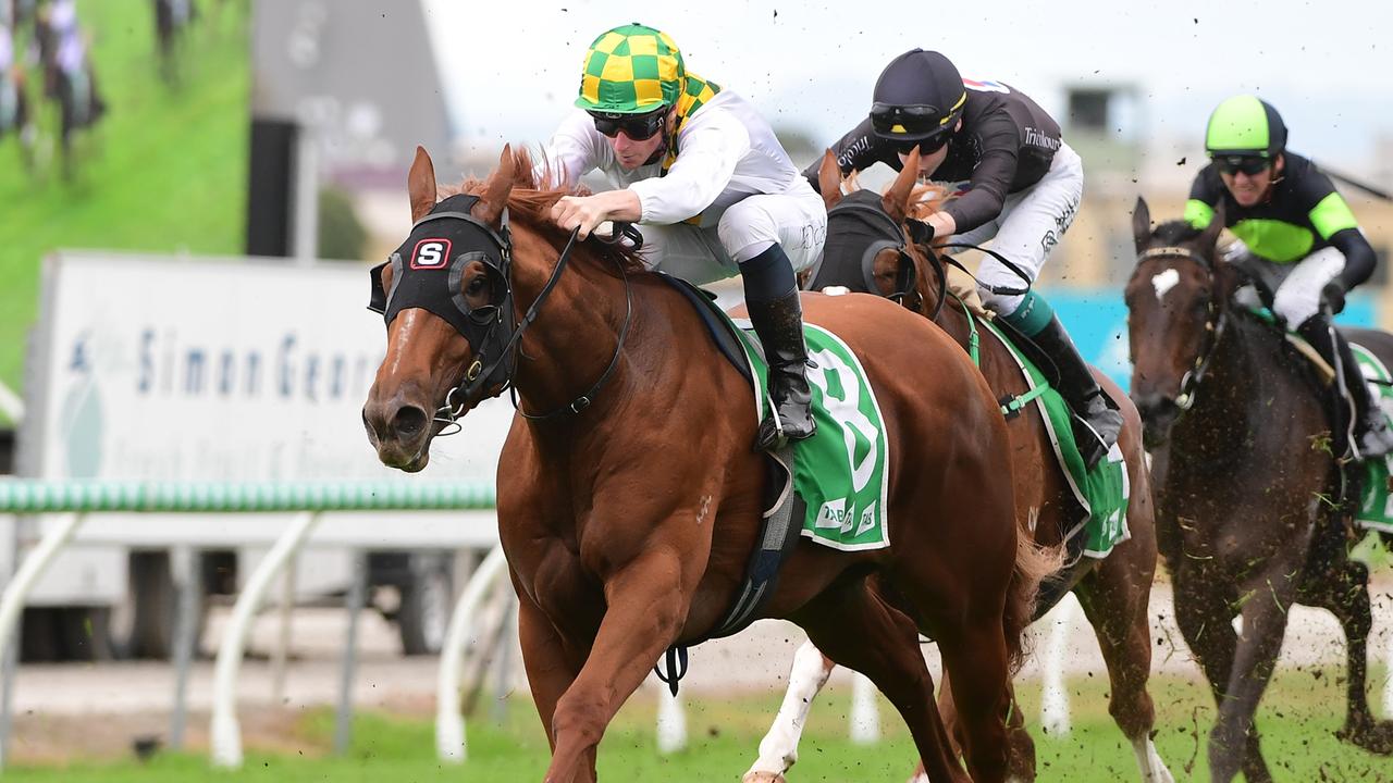 The Peter and Paul Snowden-trained Dynasties has been trialling very well ahead of her race return at Rosehill on Saturday. Picture: Trackside Photography