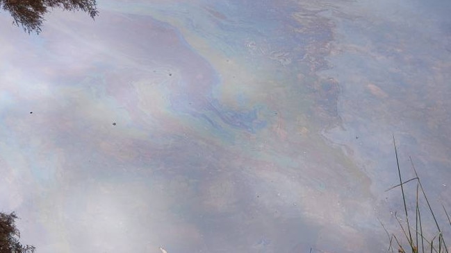 Oil slick can be seen at Lake Rosebery on 24 January 2025. Picture: Darren Briggs