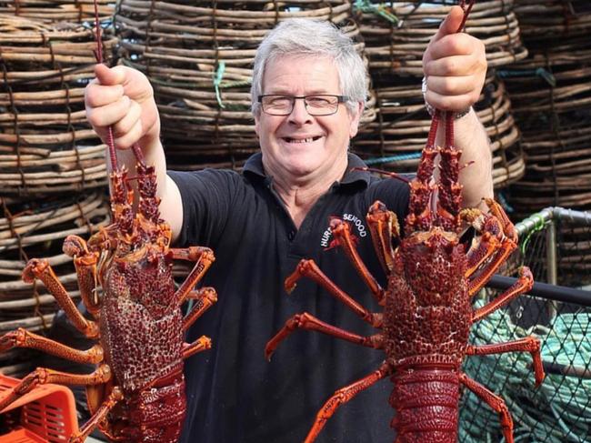 Hursey Seafood, Stanley, Tasmania. Mark Hursey pictured with some Tasmanian rock lobster. Photos: Steven Hursey/Supplied