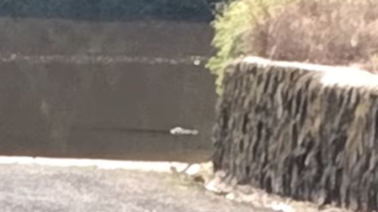 A croc was spotted near the river bank in the area last month. Picture: Facebook