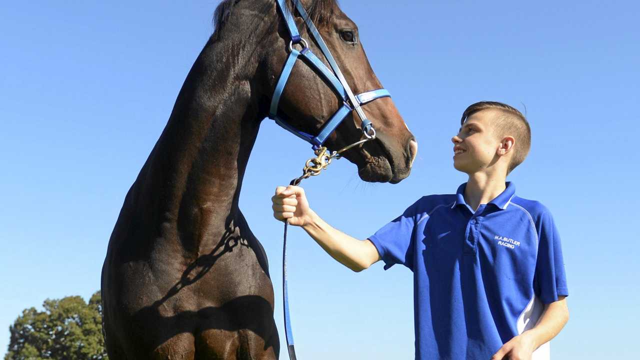 First jump for 500kg colt Daily Telegraph