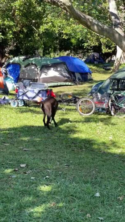 Gold Coast homeless tent city