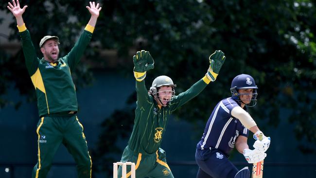 Pottabathini batting for Carlton against Northcote match in January, 2021. Picture: Andy Brownbill