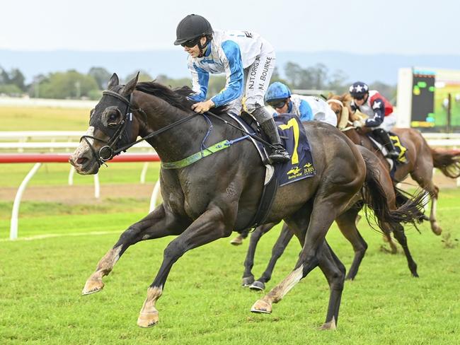 Sumo Star returns to Hawkesbury chasing another win. Picture: Bradley Photos