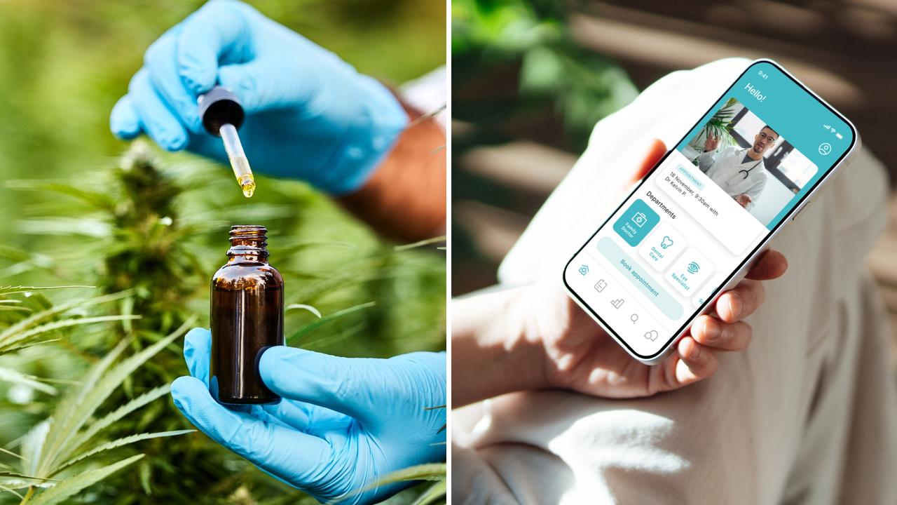 Under investigation medical cannabis company asks ex health minister to lead standards push