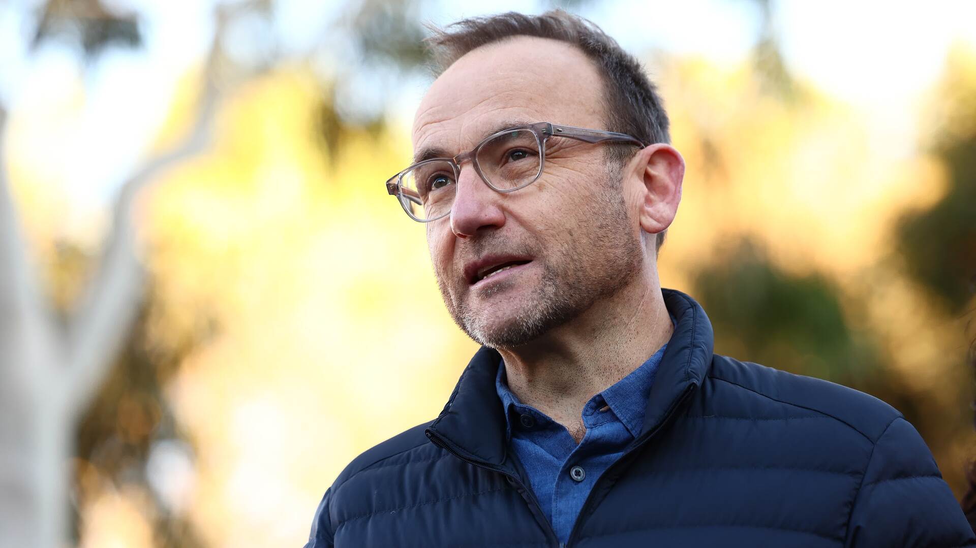 ‘Not over yet’: Adam Bandt’s federal election prospects are not looking good