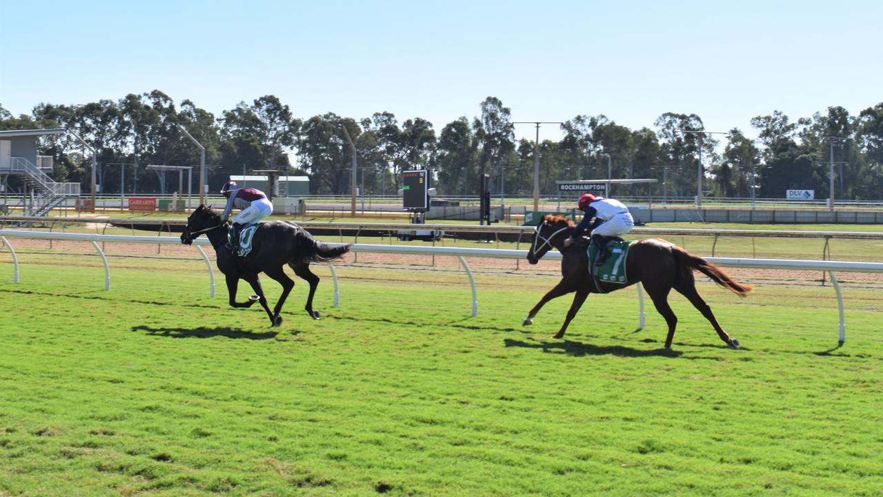 Horses at the 2023 Rockhampton Girls Grammar 21st Race Day.