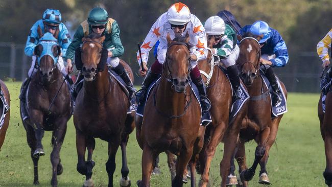 Farnan confirmed Gai Waterhouse’s high rating of the colt when he scored a dominant win in the Golden Slipper. Picture: Getty Images