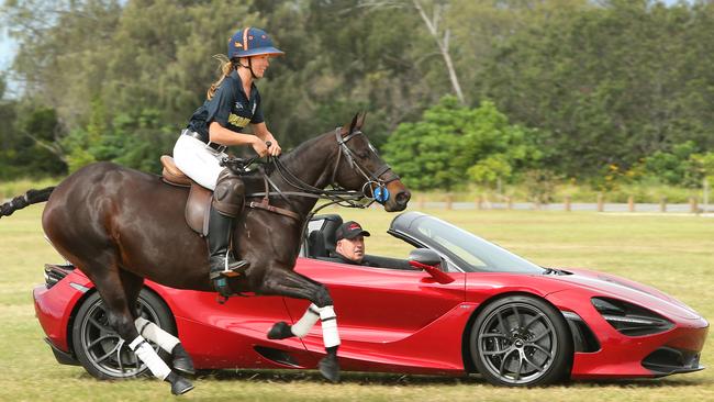 V8 Supercars champ Paul Morris comes out on top … just. Picture: Glenn Hampson