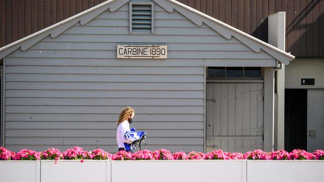 One of the few people allowed inside the Flemington bubble. Picture: Getty