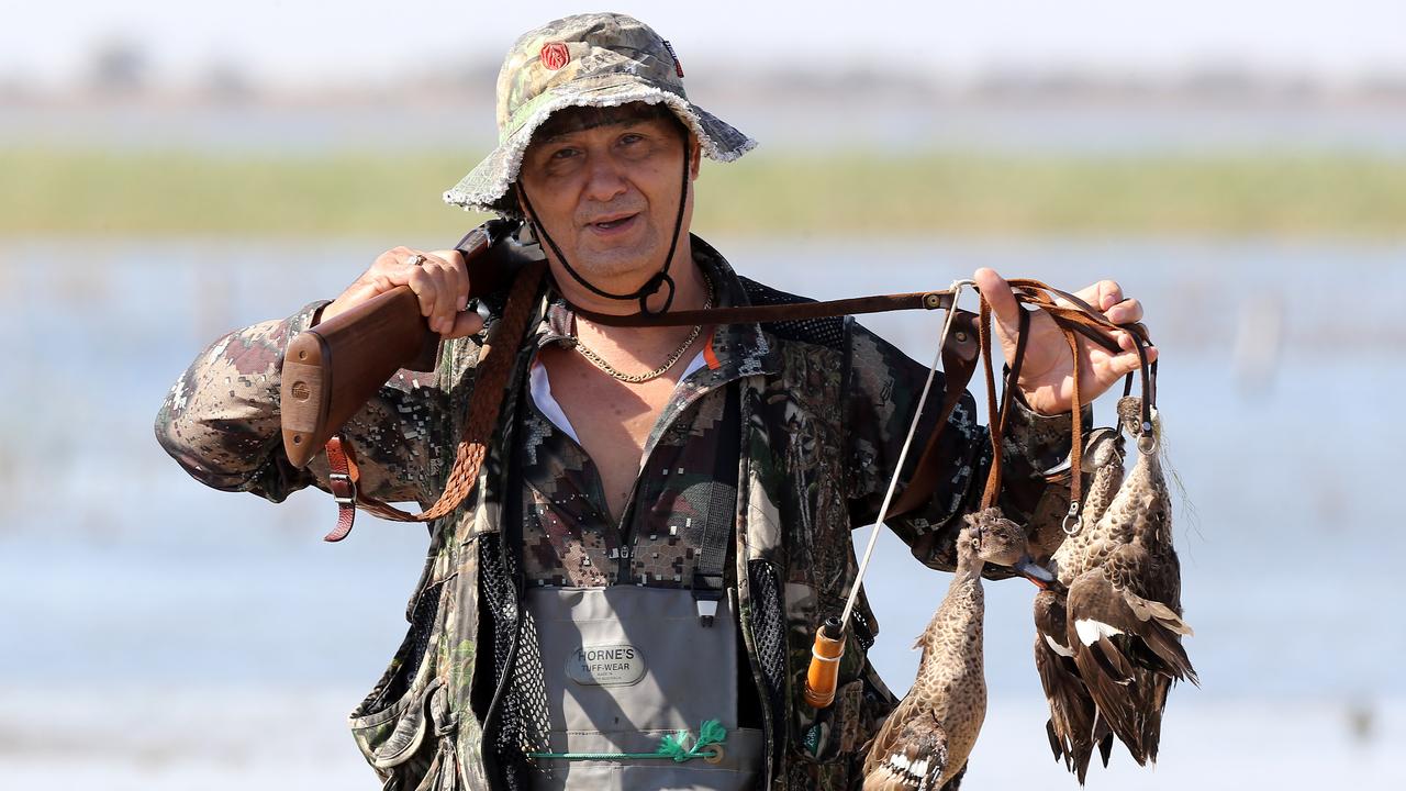 Science backs 75day Victorian duck season GMA sticks to 20 days The