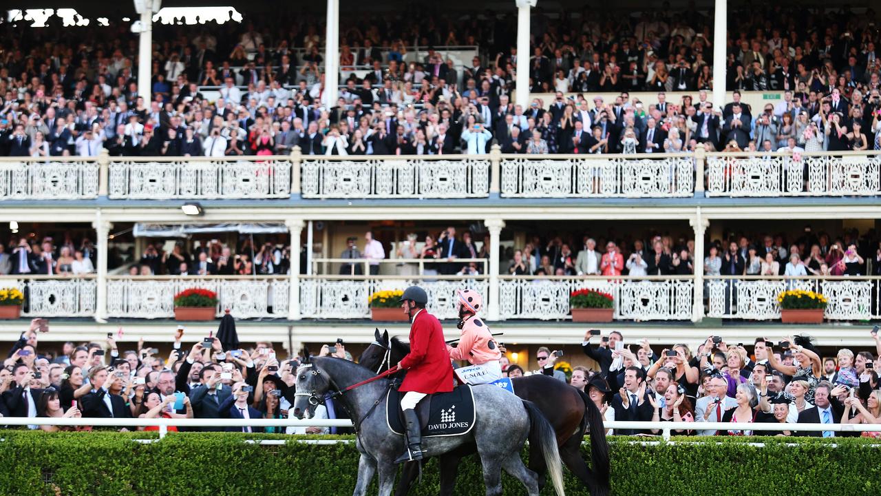 A big crowd at Randwick witnessing Black Caviar’s 25th and final race win in 2013.