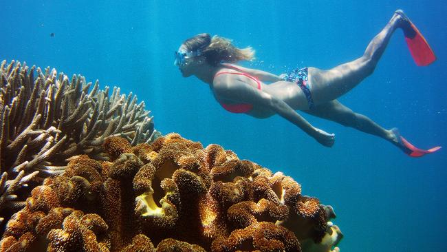 The Government is marrying sound environmental credentials with an economic goal of maximising returns from what is the state’s greatest single tourism drawcard – the Great Barrier Reef.