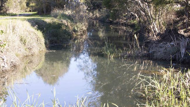 Little Salt Pan Creek in the Canterbury-Bankstown LGA.