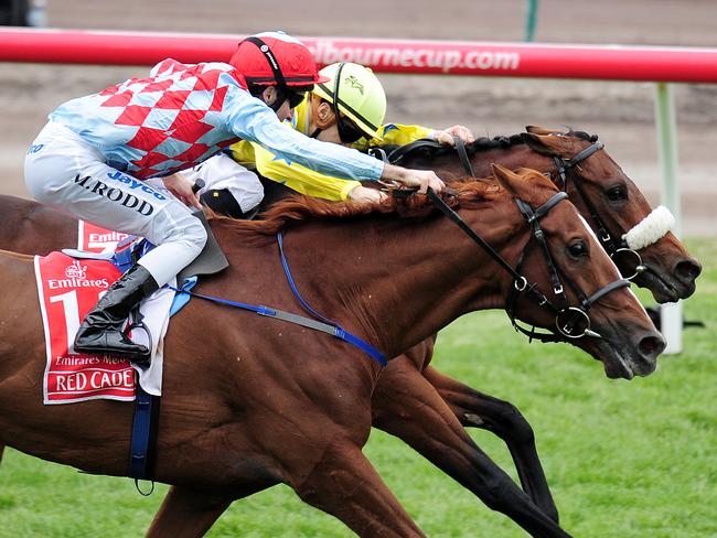 Red Cadeaux close so close to winning the Melbourne Cup in 2011. Picture: George Salpigtidis