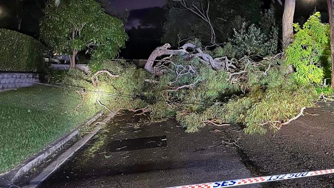 The SES was called to Bilgola Plateau after a tree fell across powerlines overnight Friday. Picture: SES Warringah/Pittwater