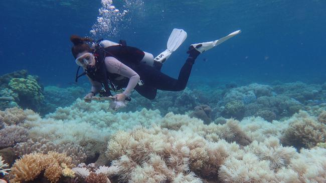 Bleaching damage on the Great Barrier Reef. Picture: AAP